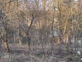 Savininkų parduodamas 7,07a sklypas, su - nuotraukos Nr. 10