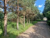 Parduodamas 50 arų (0,5074 ha) namų valdos - nuotraukos Nr. 10