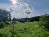 Parduodamas 50 arų (0,5074 ha) namų valdos - nuotraukos Nr. 11