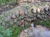 Gyvenamasis namas Kauno r. Laumėnų kaime 3 km - nuotraukos Nr. 31