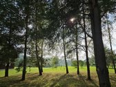 Išnuomojamas puikiai įrengtas namas/sodyba - nuotraukos Nr. 44