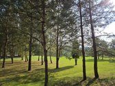 Išnuomojamas puikiai įrengtas namas/sodyba - nuotraukos Nr. 39