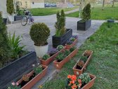 Perleidžiame savo mylėtus namus į naujas, - nuotraukos Nr. 11