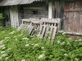 Parduodamas 28,3 a sklypas ramioje ir - nuotraukos Nr. 4