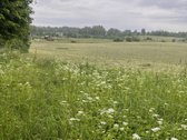 Parduodamas 28,3 a sklypas ramioje ir - nuotraukos Nr. 2