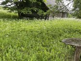 Parduodamas 28,3 a sklypas ramioje ir