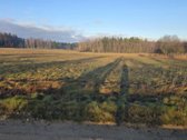 Parduodu du namų valdos sklypus vienas 18a, - nuotraukos Nr. 4