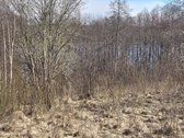 Parduodami žemės ūkio paskirties sklypai - nuotraukos Nr. 5