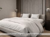 Parduodamas vieno aukšto sublokuotas namas - nuotraukos Nr. 7
