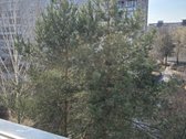 Namas renovuotas,renovacija išmokėta.maži - nuotraukos Nr. 13