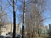 Namas renovuotas,renovacija išmokėta.maži - nuotraukos Nr. 15