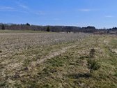 Jūsų ramybės oazė – 12,33 arų sklypas gamtos - nuotraukos Nr. 7