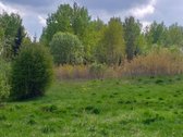 Nuostabioje vietoje, Švenčionių raj., - nuotraukos Nr. 8