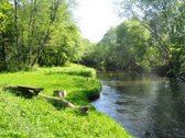 Parduodamas unikalus 1,6 ha sklypas šalia