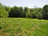 Parduodamas unikalus 1,6 ha sklypas šalia - nuotraukos Nr. 3