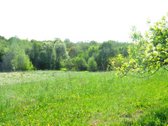 Parduodamas unikalus 1,6 ha sklypas šalia - nuotraukos Nr. 4