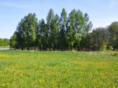Parduodamas unikalus 1,6 ha sklypas šalia - nuotraukos Nr. 5