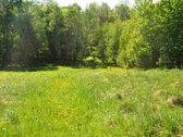 Parduodamas unikalus 1,6 ha sklypas šalia - nuotraukos Nr. 6