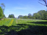 Parduodamas unikalus 1,6 ha sklypas šalia - nuotraukos Nr. 7