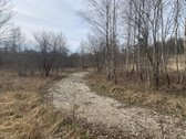 Parduodamas unikalus 1,6 ha sklypas šalia - nuotraukos Nr. 9
