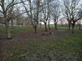 Parduodamas 25,50 a žemės sklypas Kėdainiuose - nuotraukos Nr. 12