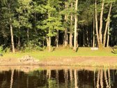 Parduodami du besiribojantys žemės sklypai, - nuotraukos Nr. 2