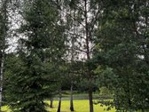 Parduodami du besiribojantys žemės sklypai, - nuotraukos Nr. 19