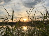 Parduodami du besiribojantys žemės sklypai, - nuotraukos Nr. 16