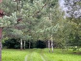 Parduodami du besiribojantys žemės sklypai, - nuotraukos Nr. 21