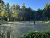 Parduodami du besiribojantys žemės sklypai, - nuotraukos Nr. 26