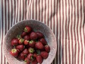 Parduodami du besiribojantys žemės sklypai, - nuotraukos Nr. 15