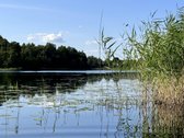 Parduodami du besiribojantys žemės sklypai, - nuotraukos Nr. 17
