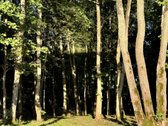 Parduodami du besiribojantys žemės sklypai, - nuotraukos Nr. 27