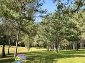 Parduodami du besiribojantys žemės sklypai, - nuotraukos Nr. 11
