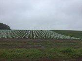 Parduodamas 2,2 ha žemės ūkio paskirties - nuotraukos Nr. 3