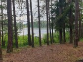Parduodama Sartų regioniniame parke (buvusi)