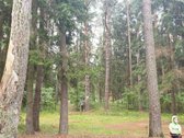 Parduodama Sartų regioniniame parke (buvusi) - nuotraukos Nr. 4