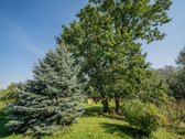 Vieno Aukšto Namas 255 Kv.m Su Šalia Esančiu - nuotraukos Nr. 7