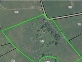 Parduodamas 2.17 ha sklypas su sena sodyba - nuotraukos Nr. 6