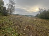 Parduodamas 2.17 ha sklypas su sena sodyba - nuotraukos Nr. 4