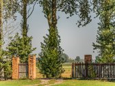 Vieno Aukšto Namas 255 Kv.m Su Šalia Esančiu - nuotraukos Nr. 9