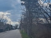 Parduodamas tvarkingas, 12,27 arų žemės - nuotraukos Nr. 5