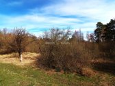 Parduodamas 77.19 arų sklypas Vyčiuose. - nuotraukos Nr. 2