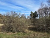 Parduodamas 77.19 arų sklypas Vyčiuose. - nuotraukos Nr. 9