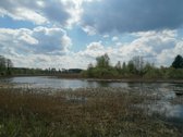 Erdvi Namų Valda