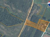 For sale – a homestead with forest (near - nuotraukos Nr. 12