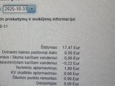 Išnuomojamas butas pirmame aukšte, 2025 - nuotraukos Nr. 28