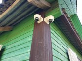 Parduodama įrenkta bei prižiūrėta sodyba - nuotraukos Nr. 6