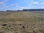 Parduodami du žemės sklypai: vieno sklypo