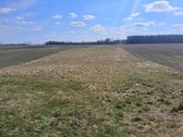 Parduodami du žemės sklypai: vieno sklypo - nuotraukos Nr. 2